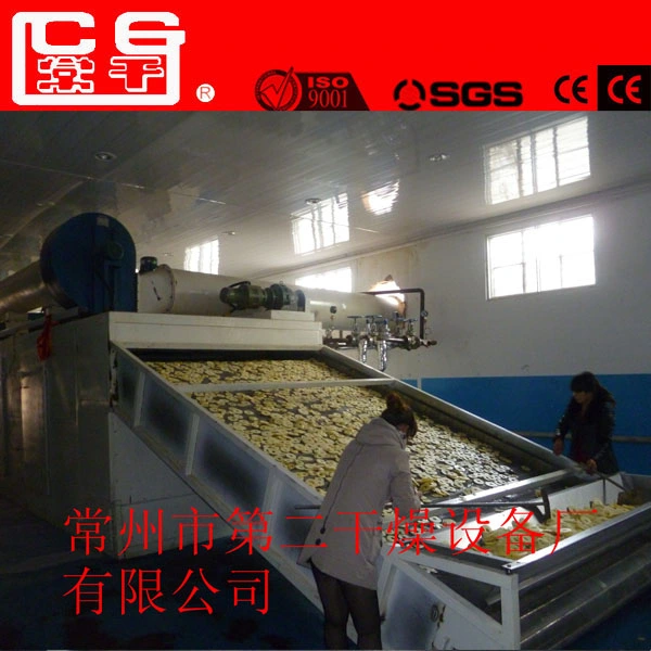 Affordable Onion Drying Machine Fruit Dryer Fish Seafood Drying Machine Mesh Belt Dryer