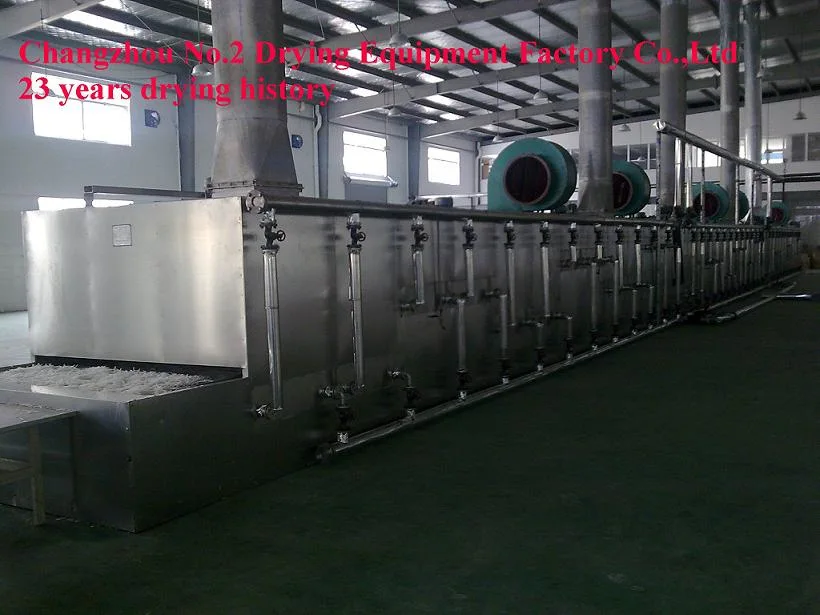 Dw Model Continous Cassava Slice Mesh Belt Dryer/Conveyor Dryer