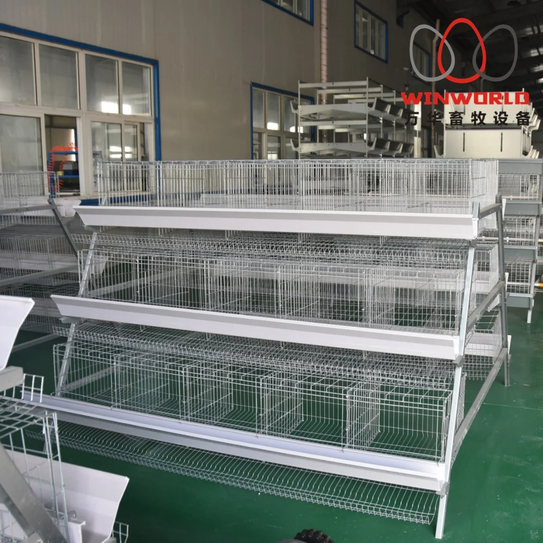 a Type Chicken Layer Cage Poultry Equipment Farm Wire Mesh