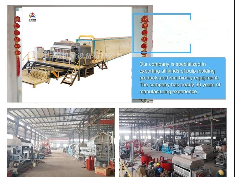 Waste Paper Pulp Making Machine Egg Tray Carton with Dryer