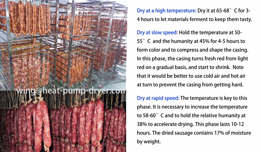 Industrial Food Drying Machine/ Fish Drying Oven/ Meat Drying Oven