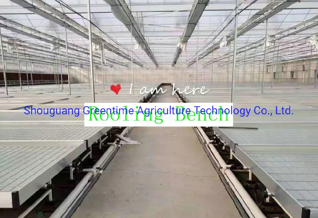 Aluminium Greenhouse Rolling Benches for Agricultural Planting