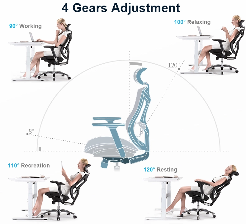 Sihoo Multi Function Mesh Chair Pass SGS Test