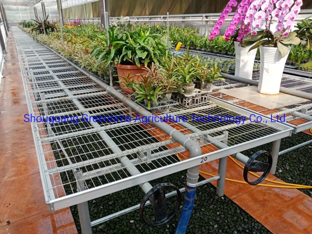 Double Stack Ebb and Flow Rolling Benches for Agricultural Planting