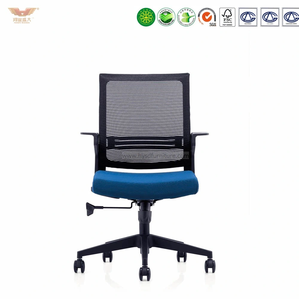 Office Ergonomic Armrest Middle Back Mesh Chair Task Chair (198B2)