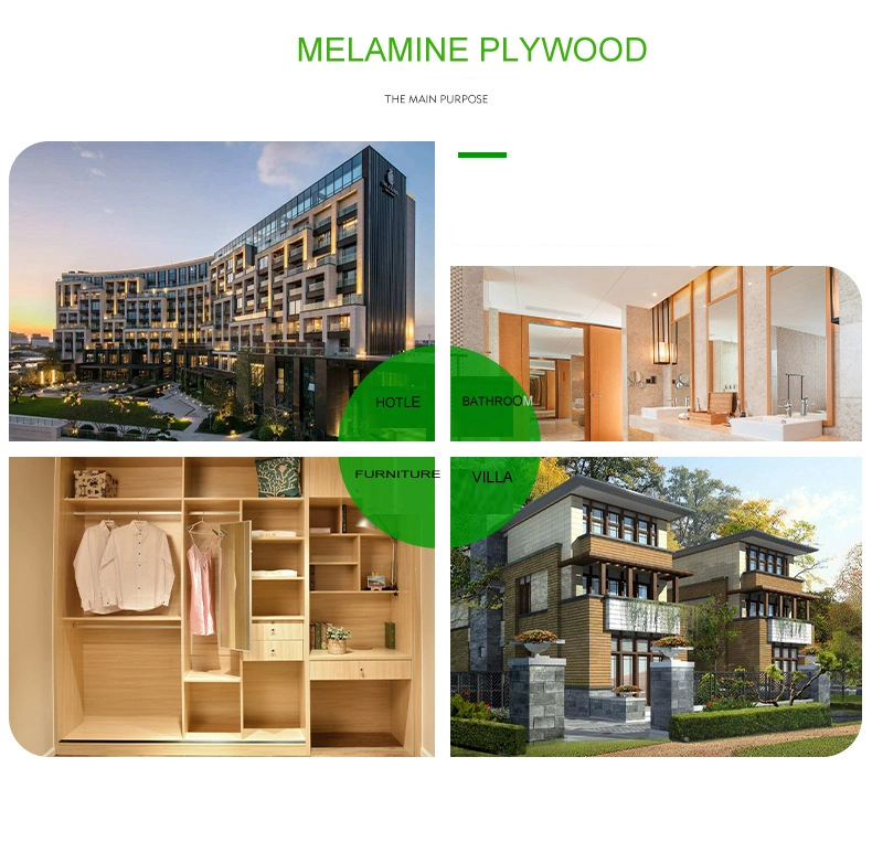 Woodgrain Melamine Film Faced Plywood Board Wholesale Melamine Paper Coated Board for Furniture