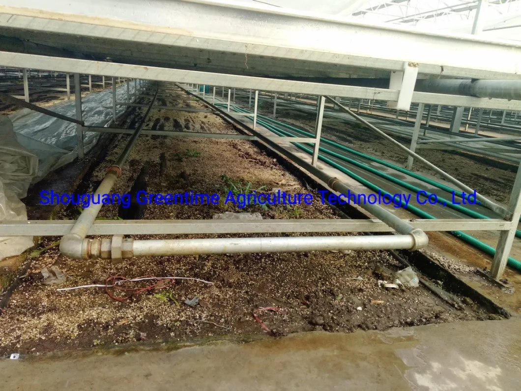 Mesh Rolling Benches for Commercial Greenhouse Benches for Agricultural Planting