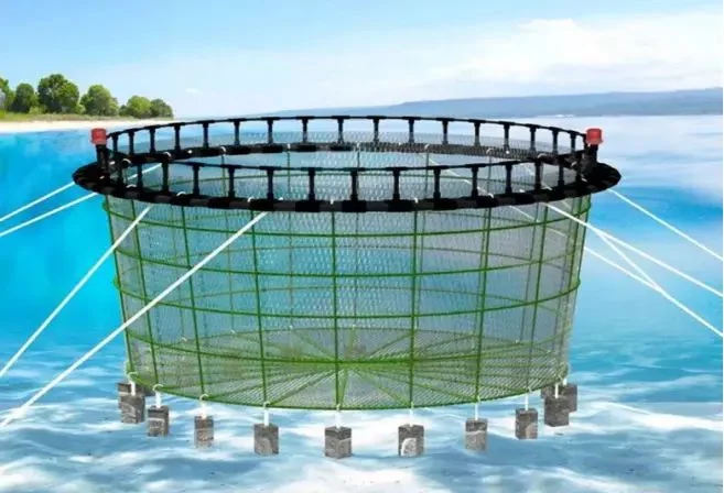 Fish Cage Fish Cage HDPE Fish Farms Floating Cage Tilapia Fish Farm Equipment Chinese Supplier