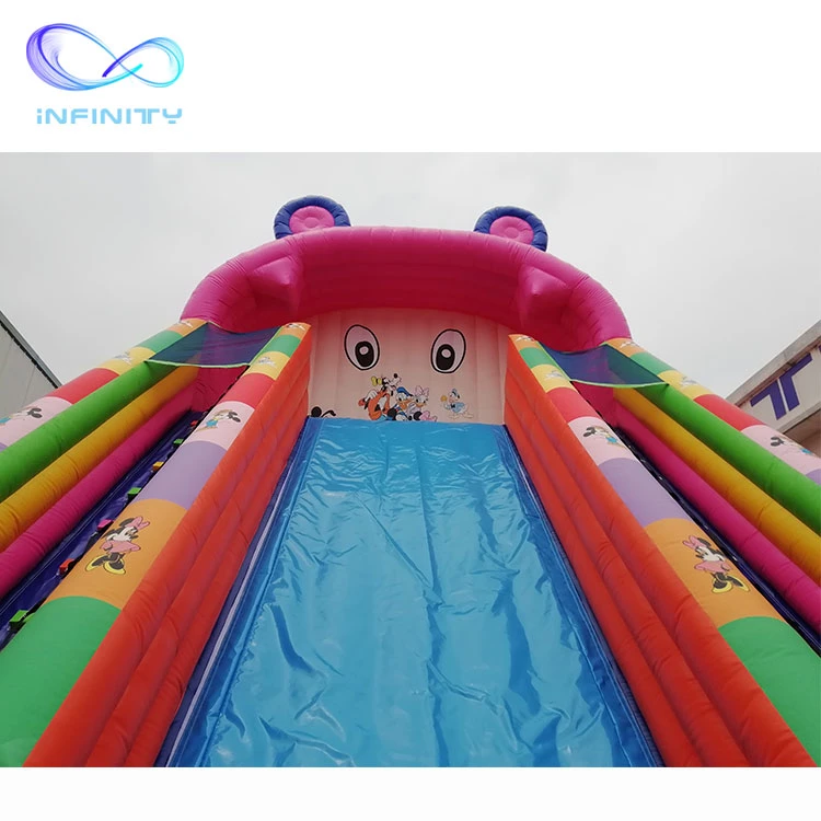 China Manufacturer Giant Inflatable Water Slides Water Slide Inflatable Kids Commercial Inflatable Wet Dry Slide