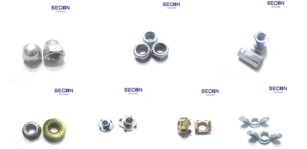 China Manufacture DIN 557 Cage Nut Zinc Plated with High Quality (M3~M24) Made in China