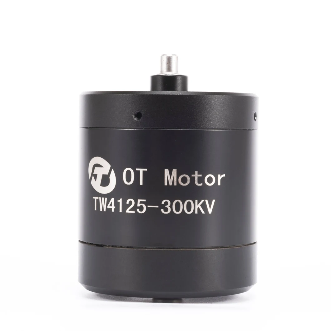 4125 300kv Waterproof Drone Motor Brushless Electric Motor for RC Boat Surfing Board
