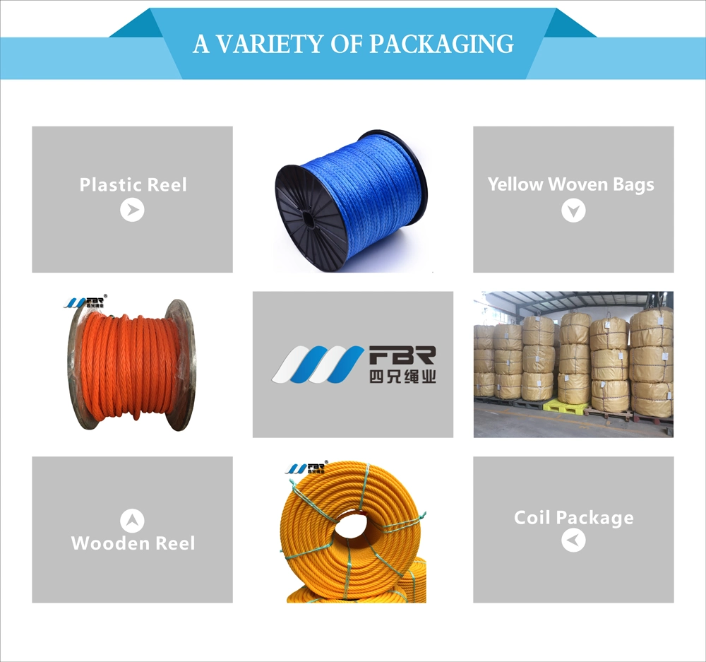 Fbr UHMWPE 12 Strand Synthetic Hmpe Rope Used in Windsurfing