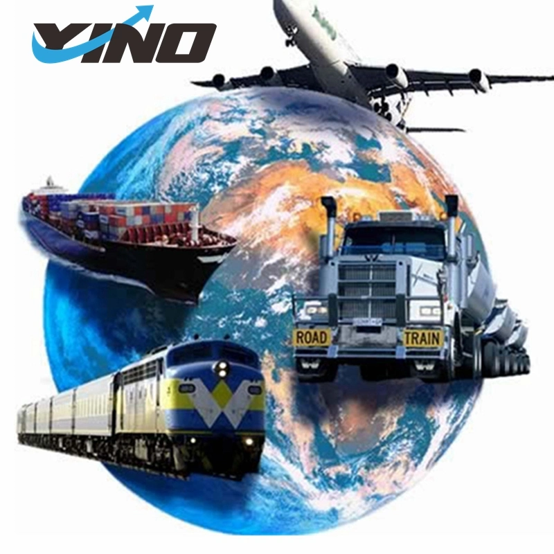 Freight Forwarding Shipping Agent Provide Repacking Service Customs Clearance Service Warehouse Service in China
