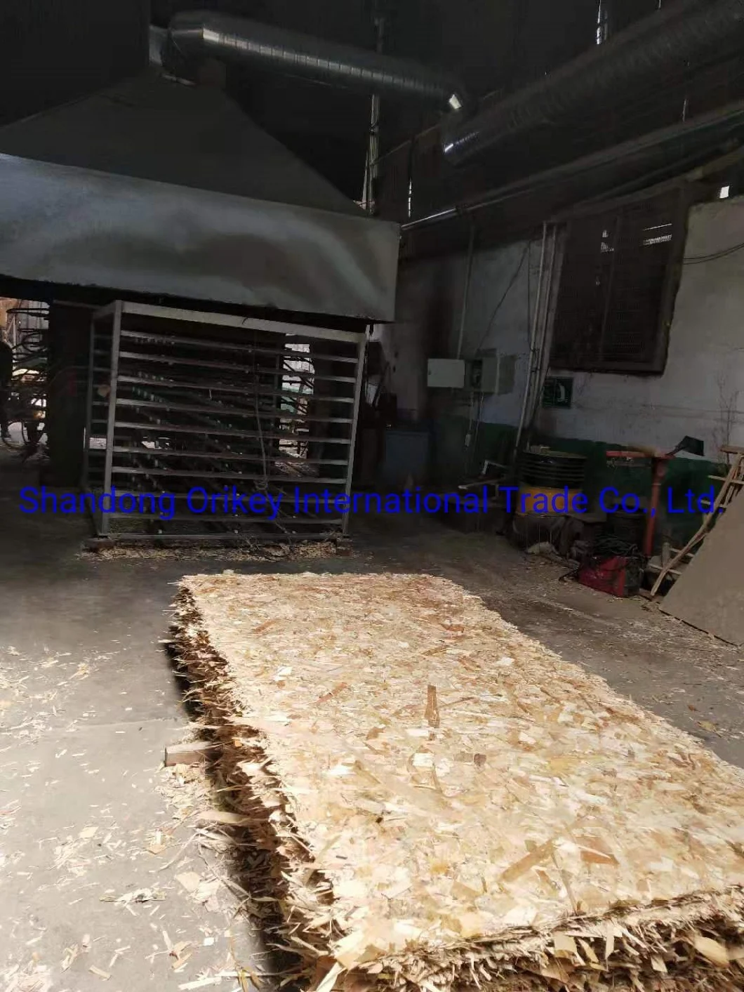 18mm OSB Oriented Starand Board for Construction From China Manufacture
