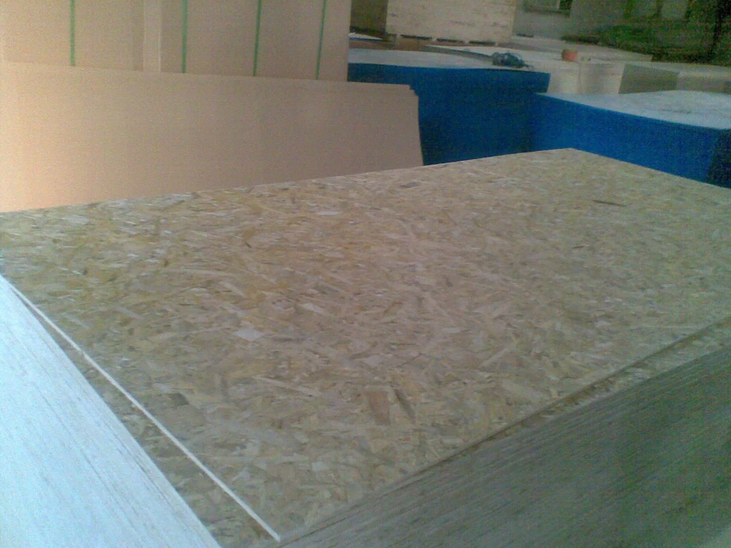 OSB /Poplar OSB Particle Board From Factory