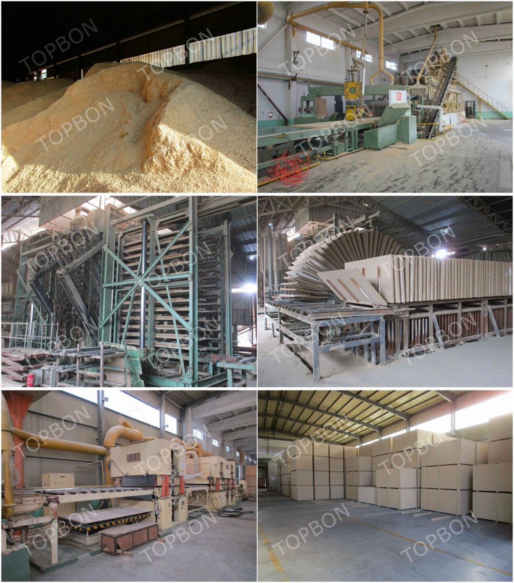 Laminated Particle Board/Particle Board Manufacturing with Good Price