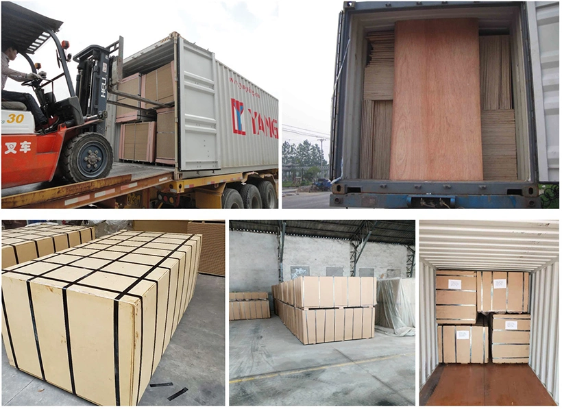 18mm Marine Plywood Film Faced Cheap Marine Plywood Lowes Used Shuttering Plywood Formwork