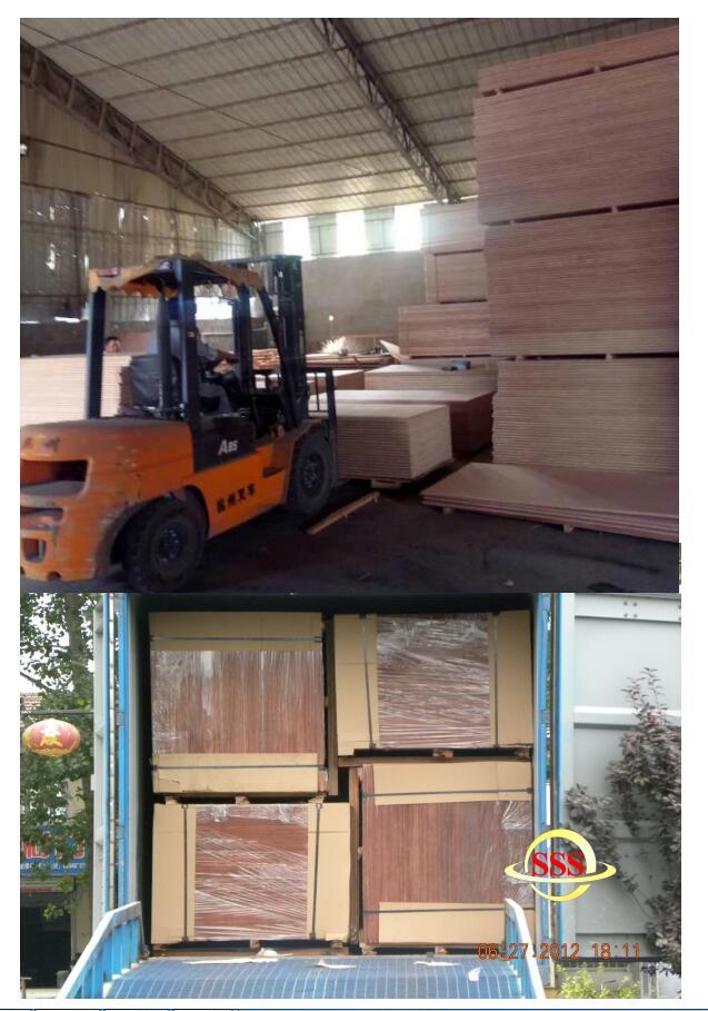 Plywood Sheets Birch Marine Grade Plywood Container Flooring and Repair Parts