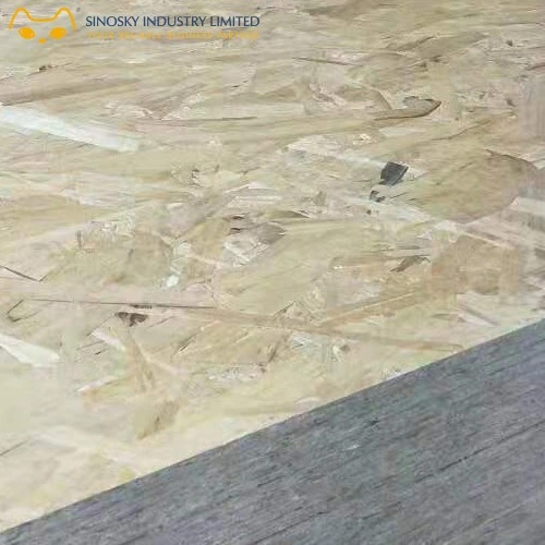 Waterproof 12mm 18mm OSB 3 Board Plywood for Construction From Sinosky Group