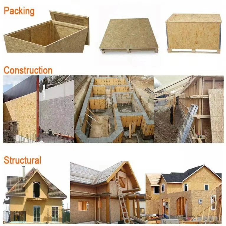High Quality Oriented Strand Board OSB Wood Panels for Packing and Construction