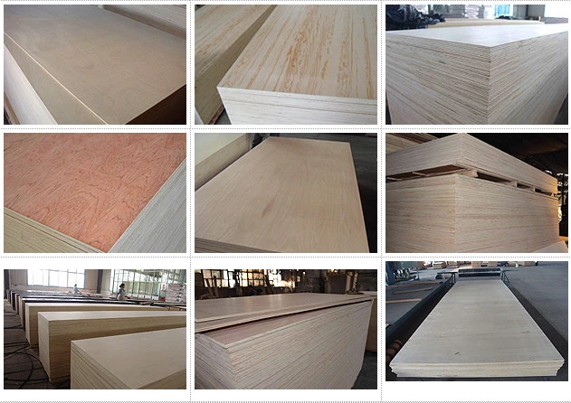 Commercial Plywood Furnituire Plywood Okoume/Bintangor/Poplar/Birch Laminated Plywood Sheets for Sales