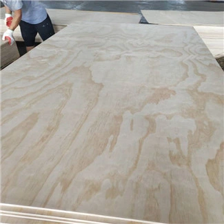 Larch Plywood Sizes for Korea Market