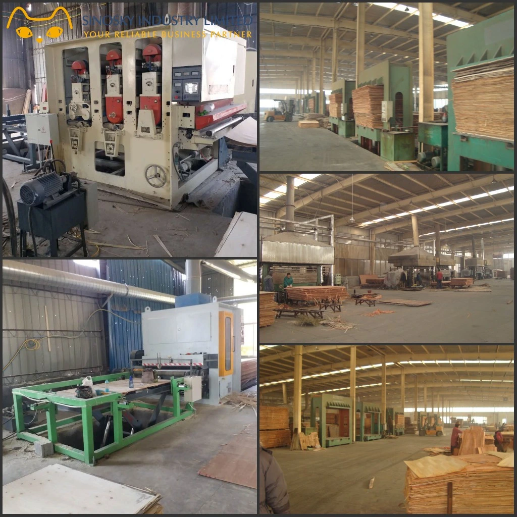 Face Sanding Acacia Core Sanding E1/E1/E0 Glue 2 Times Hot Press Shuttering Plywood From Sinosky Group