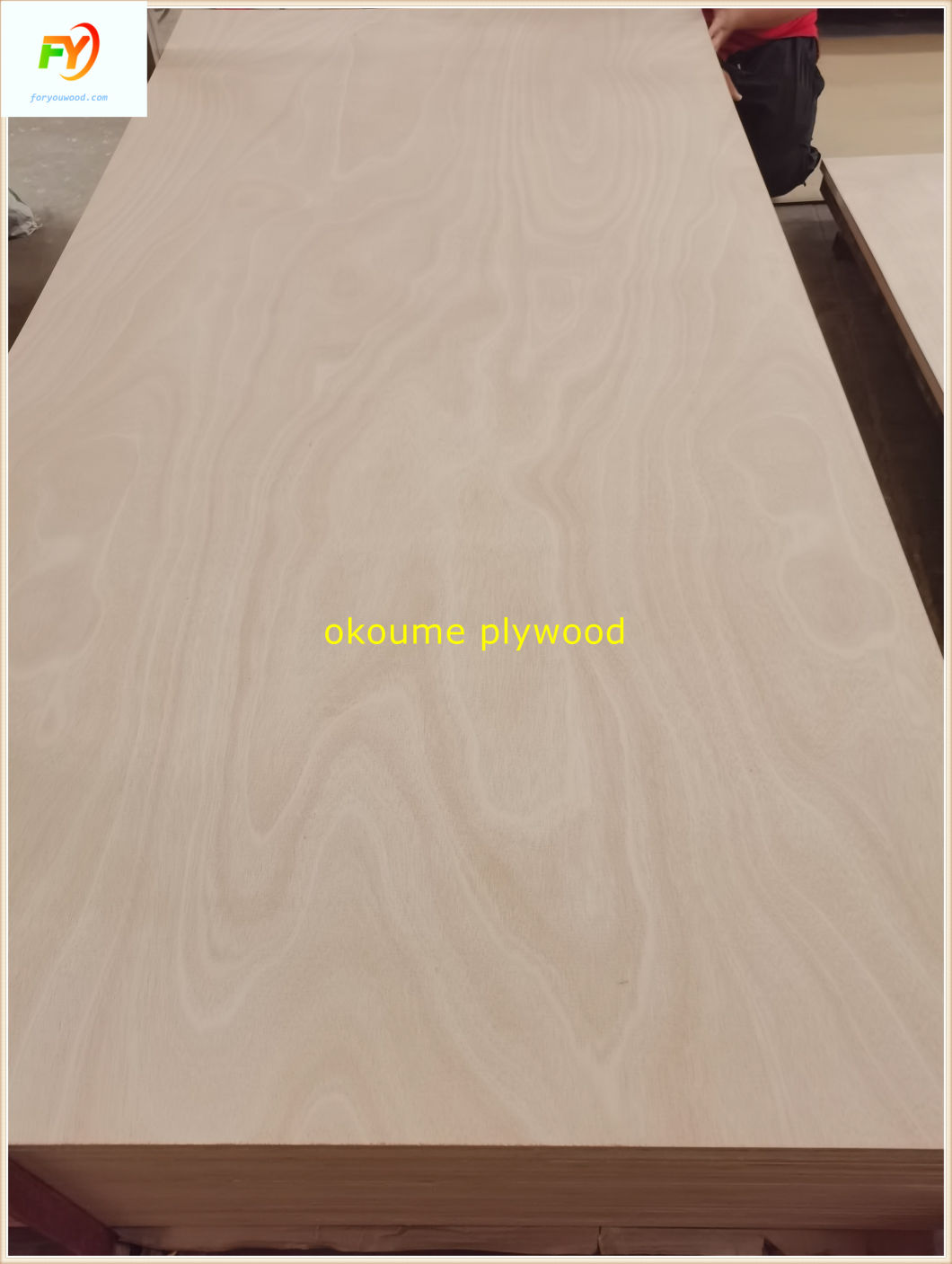 Plywood Sheet/Commercial Plywood/Furniture Plywood/Okoume Plywood/Bintangor Plywood/Pine Plywood/Birch Plywood/Pencil Cedar Plywood/Poplar Plywood/EV Plywood