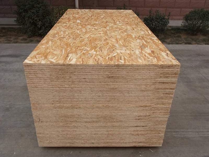 Construction Grade OSB 3 Board with Competitive Price