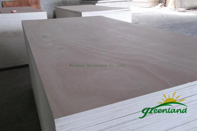 Two Times Hot Press Quality Plywood at Low Prices for Africa Market