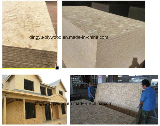 Construction Use Wood Panels OSB