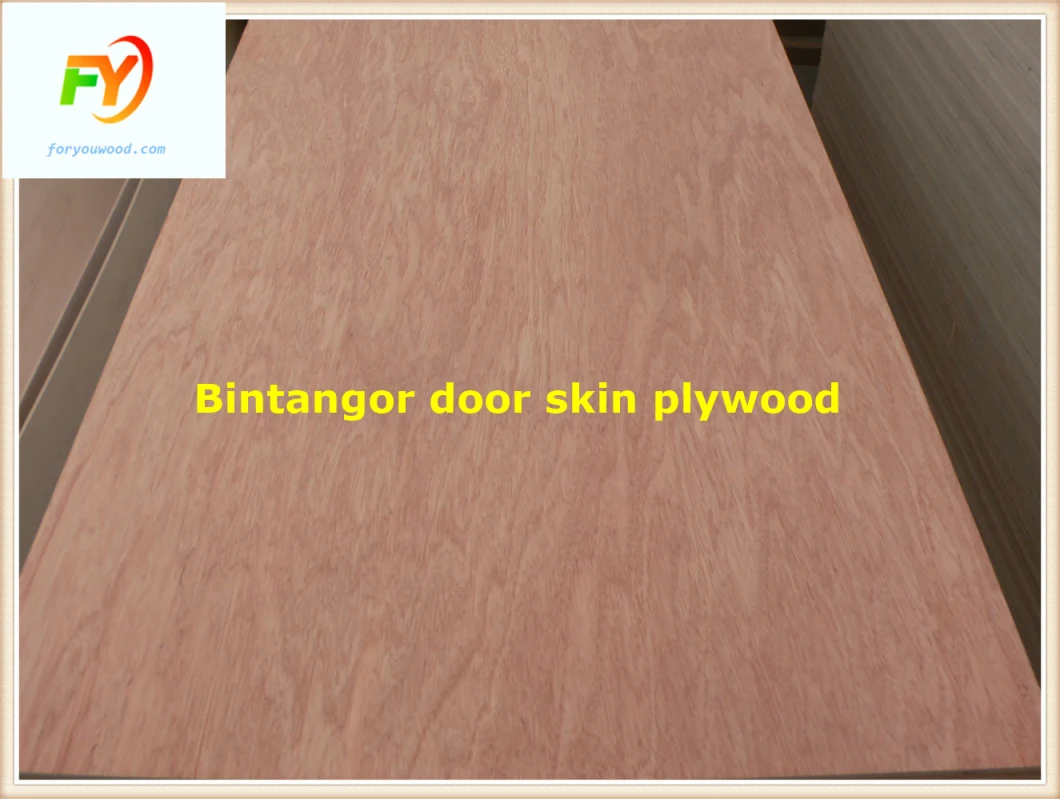 Aluminium Foil Faced Door Skin Plywood/Plywood Door Skin