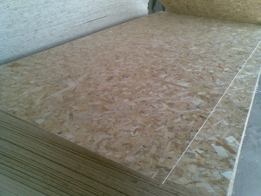 Factory of OSB and OSB3 in 11mm Cheaper Prices Sales
