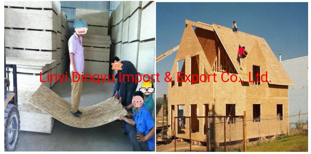 Cheap Oriented Strand Boards OSB for Furniture and Indoor Construction