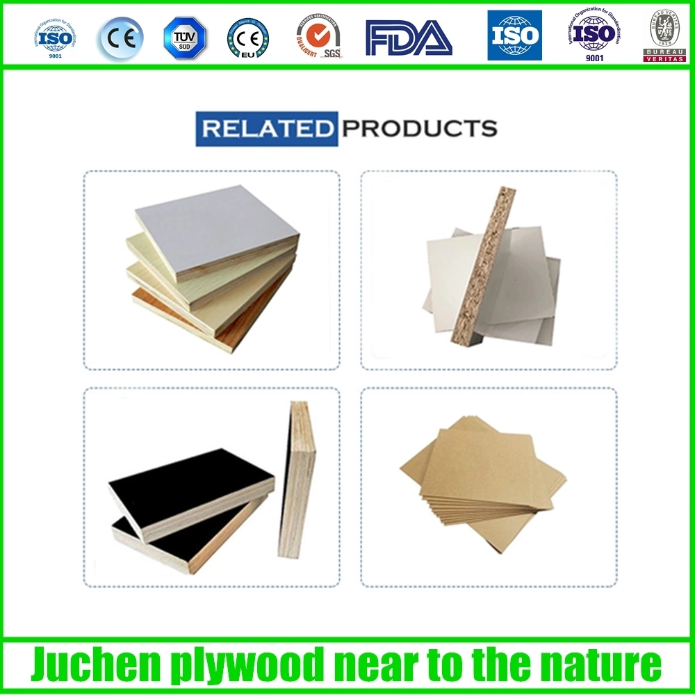 Oriented Stand Board OSB-1 for Package, Furniture and Construction 1220-2440mm