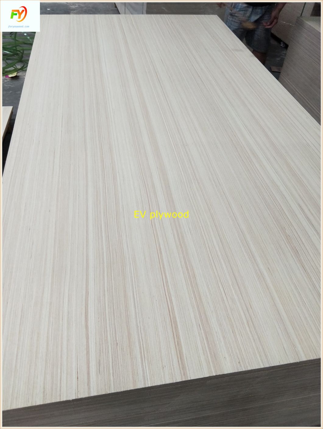 Plywood Sheet/Commercial Plywood/Furniture Plywood/Okoume Plywood/Bintangor Plywood/Pine Plywood/Birch Plywood/Pencil Cedar Plywood/Poplar Plywood/EV Plywood