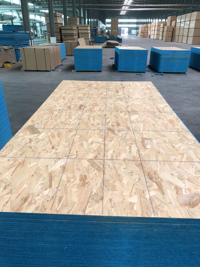 Construction Grade OSB 3 Board with Competitive Price