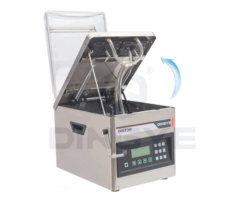 Automatic Sealing Machine Bag Food Meat Fish Rice Fruit Vegetable Single Chamber Vacuum Sealer DDZP260
