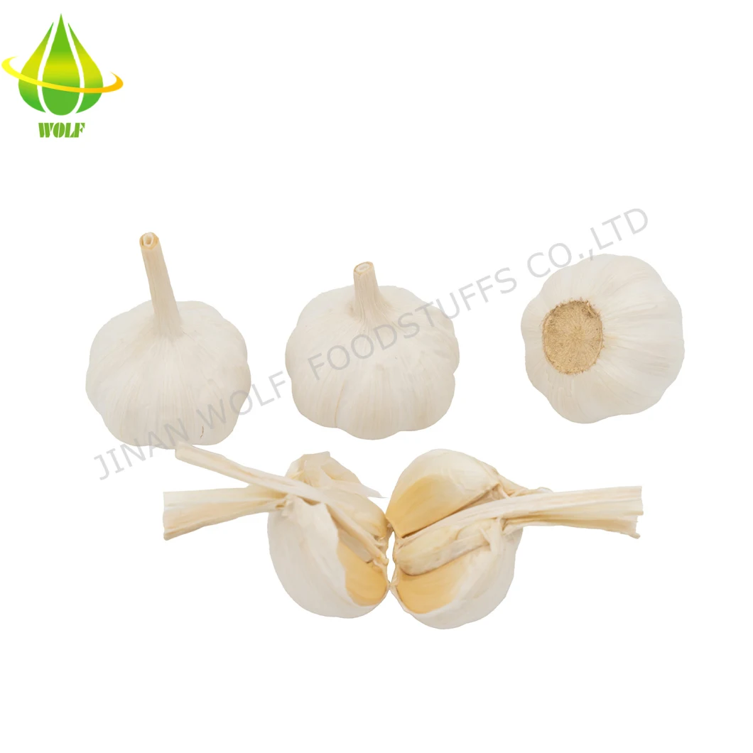 Mesh Bag 500g Per Bag Fresh Pure White Garlic