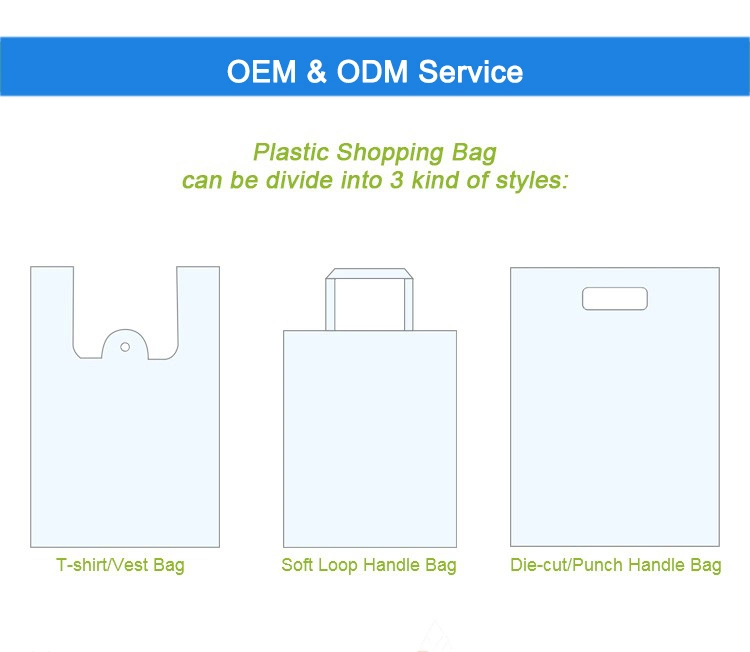 Biodegradable Plastic Shopping Bags Custom Printed Die Cut Handle Cosmetics Bags