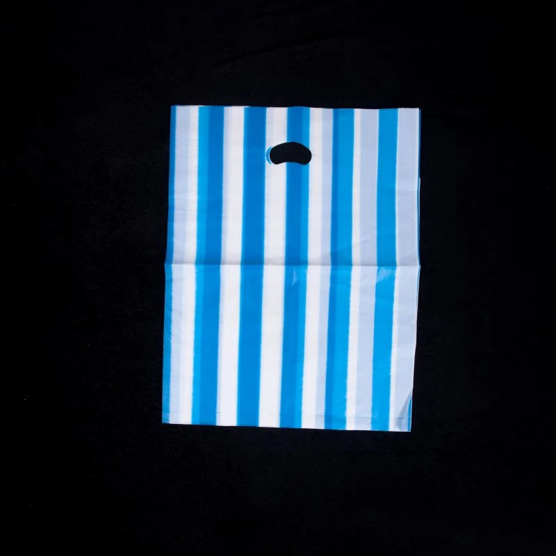 Custom Logo Printed Die Cut Shopping Bags /Carrier Bags /Merchandise Bag for Boutique
