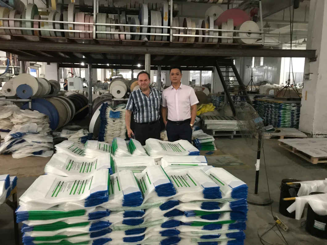 5kg 10kg 20kg Stand Vacuum Bag for Rice Packaging/Thailand Plastic Rice Bag with Handle
