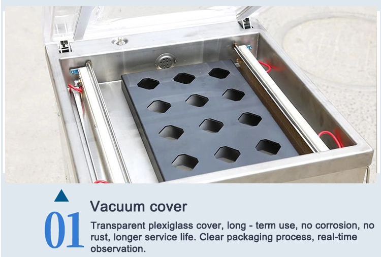 Single Chamber Home Frozen Fish Vacuum Food Packaging Bags Small Vacuum Saver Food Sealing Packer Machine