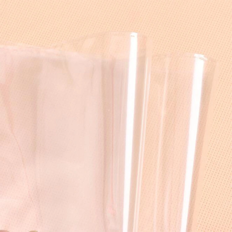 Plastic/LDPE/Poly Bag/ Reclosable Bag for Food/Wholesale OPP Plastic Bag for Frozen Food