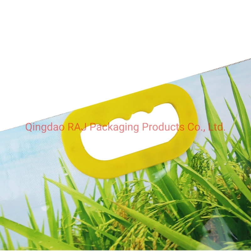 Custom OEM Printed Flexible Plastic Packaging Vacuum Bag for Rice with Handle 1kg 2.5kg 5kg