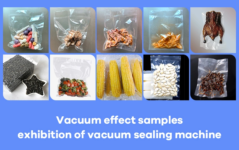 Vacuum Sealer Machine Vacuum Seal Food Bag