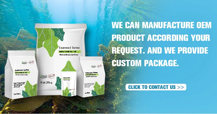 Hot Sale Seaweed Liquid Organic Fertilizer Complex Amino Acid Fertilizer