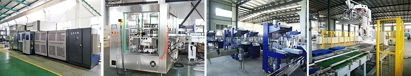 500ml 5L 10L Pet Bottle Water Bottling Plant Drinking Mineral Pure Water Filling Machines