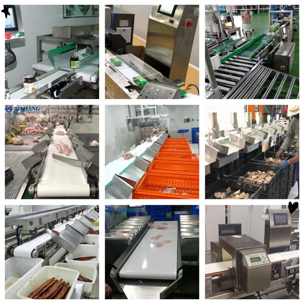 High Accuracy 10-3000g 30-160bpm Box Bag Automatic Weighing System