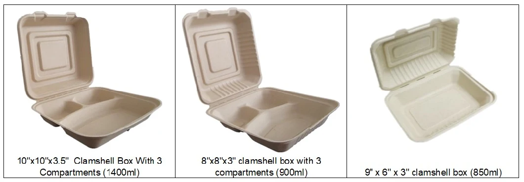 Biodegradable, Plant-Based, 700ml Disposable Takeaway Box with Lid